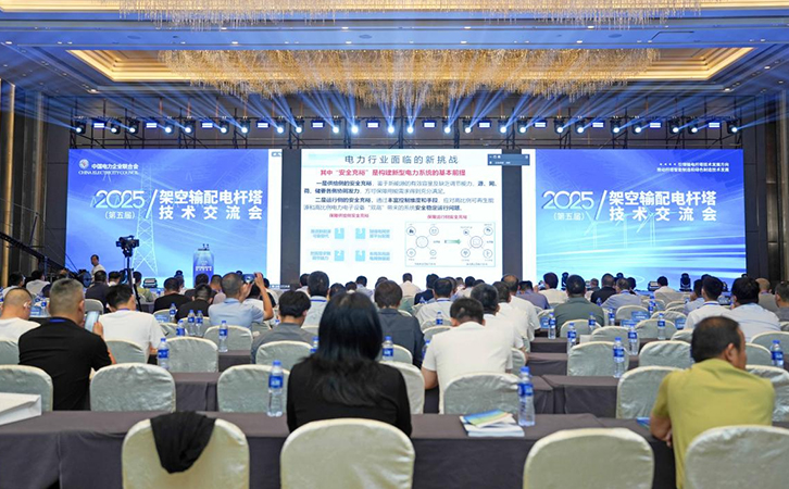 瑞馬智能參加2025年（第五屆）架空輸配電桿塔技術(shù)交流會(huì)